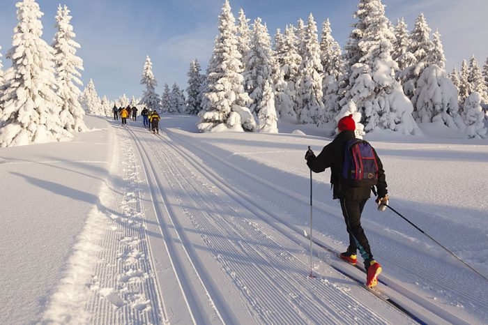Langlaufen_Silvester-Bayerischer-Wald